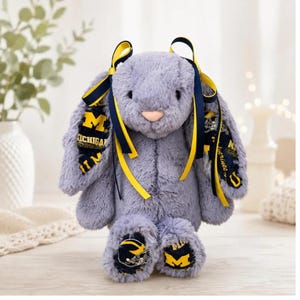 Custom College Jellycat Bunny, Personalized Graduation Gift Plush, College Acceptance Gift, School Spirit Bunny, Dorm Decor Keepsake