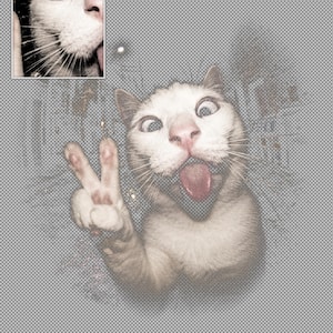 May include: A white cat with wide, cross-eyed pupils and a pink tongue sticking out, making a peace sign gesture with one paw. The image features a small inset square in the top left corner showing a close-up of the cat's face and whiskers.