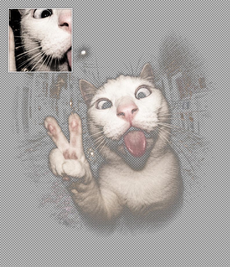 May include: A white cat with wide, cross-eyed pupils and a pink tongue sticking out, making a peace sign gesture with one paw. The image features a small inset square in the top left corner showing a close-up of the cat's face and whiskers.