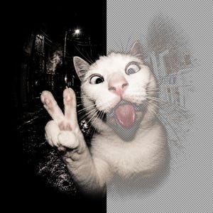 May include: A white cat with a wide-eyed expression and its tongue sticking out, captured in a fisheye lens style. The cat is holding up one paw with two toes extended in a peace sign gesture. The image features a split background effect.