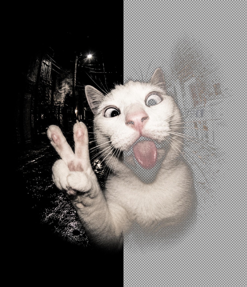 May include: A white cat with a wide-eyed expression and its tongue sticking out, captured in a fisheye lens style. The cat is holding up one paw with two toes extended in a peace sign gesture. The image features a split background effect.