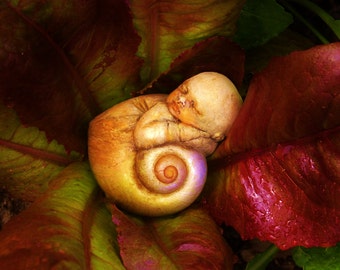 Snail Baby, Nature Spirit Baby Sculpture by Debra Bernier