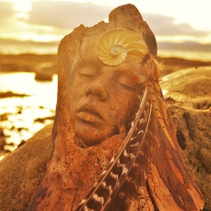 Carte d'art, Harmony, Driftwood Face, par Debra Bernier, Shaping Spirit