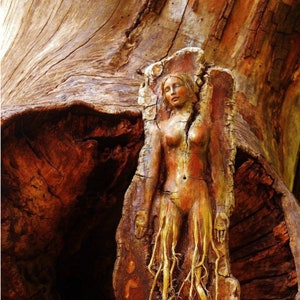 Carte d'art One Breath, Roots Woman, par Debra Bernier, Shaping Spirit