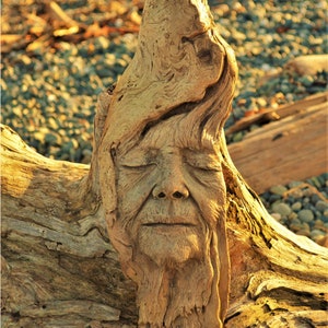Carte d'art en bois Wisdom, par Debra Bernier, Shaping Spirit