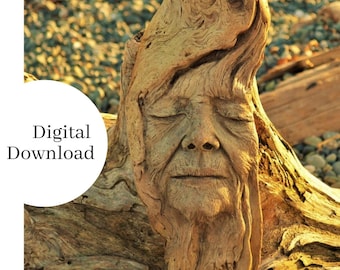 Digital Image - Wisdom in Wood