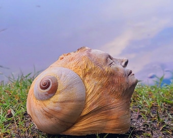 Ocean Memories, Shell Sculpture | Coastal Spiritual Art