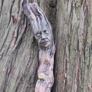 RESERVED FOR DENISE Dark Moon Spirit Elder, Driftwood Sculpture by Debra Bernier Shaping Spirit