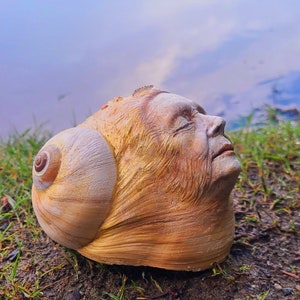 Puede incluir: Un primer plano de una concha de mar con un rostro humano tallado en ella. La concha es de color marrón claro con un interior blanco. El rostro está cerrado y tiene una expresión pacífica.