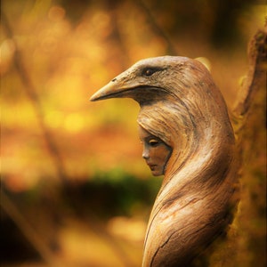 Carte d'art, Femme corbeau, par Debra Bernier, Shaping Spirit