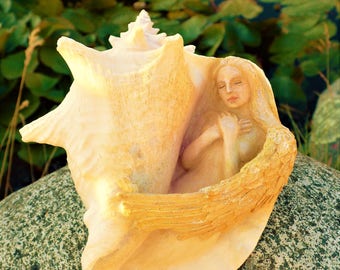 Angel Resting, Winged Woman Sculpture in Conch Shell by Shaping Spirit, Healing Home Decor