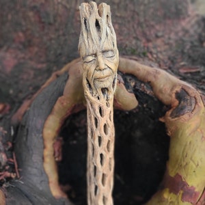 Choola Wood Woman, by Debra Bernier, Shaping Spirit