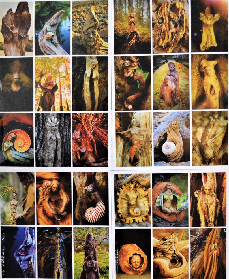 Forest Deck Journey Cards ShapingSpirit Art Collection with Guidance Questions by Debra Bernier