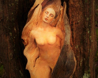 Kunstkaart, Door to the Unknown, door Debra Bernier, Shaping Spirit