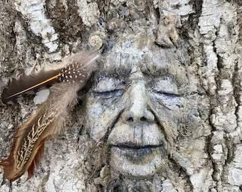 Wisdom of The Trees | Fine Art Canvas Print