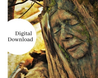 Digital Image - Grandmother Willow