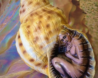 RESERVED, Mermaid In A Shell, by Shaping Spirit, Debra Bernier