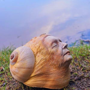 May include: A sculpture featuring a human face with closed eyes and a beard merging into a large, spiraled snail shell. The piece is finished in shades of tan, brown, and gold, with a smooth, rounded shell texture and detailed facial features.