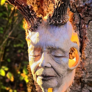May include: A weathered, pale-faced sculpture with closed eyes and a serene expression, adorned with deer antlers. The artwork is mounted on a textured tree trunk, with warm light illuminating the details.