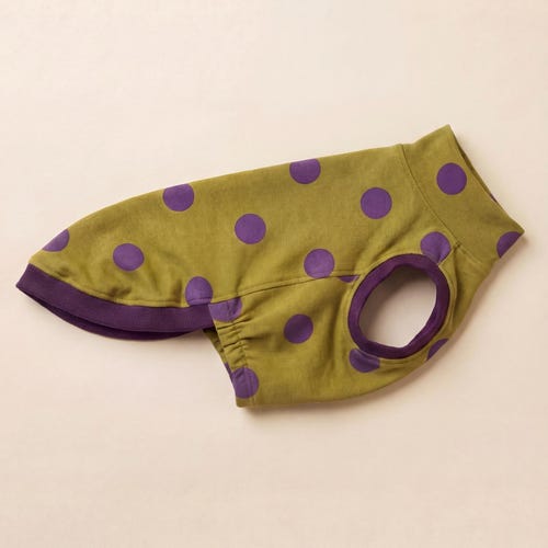 Maglietta senza maniche per Whippet – Gilet per cani in cotone a pois, strato base per levrieri, pistacchio