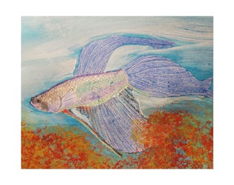 Tropical Fish created on poster-quality paper