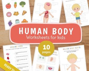 Human Body Worksheets PRINTABLE - Anatomy - Organs, Senses & Body Parts, Preschool Curriculum Homeschool Learning, Science Worksheets