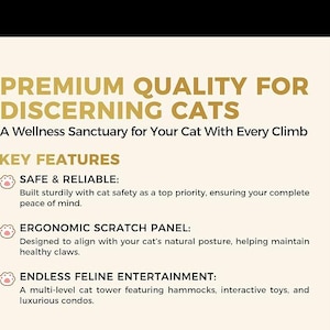 May include: Text on a cream-colored background reads "PREMIUM QUALITY FOR DISCERNING CATS." Key features include safe and reliable construction, an ergonomic scratch panel, and endless feline entertainment. The text is in a gold color.
