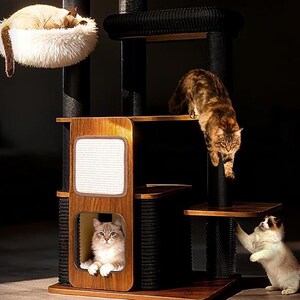 May include: A multi-level cat tree with a wooden frame, black posts, and multiple platforms. Three cats are interacting with the structure: one sleeping in a fluffy bed, one climbing down, and another reaching up. The cat tree has a built-in scratching post.