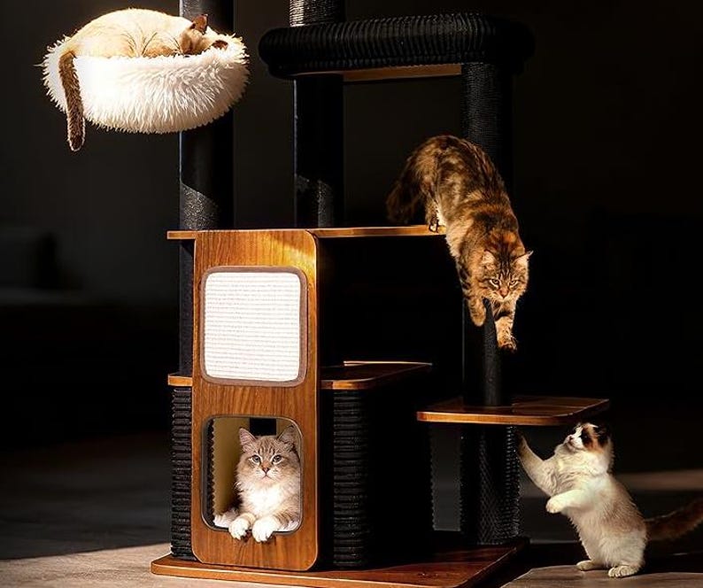 May include: A multi-level cat tree with a wooden frame, black posts, and multiple platforms. Three cats are interacting with the structure: one sleeping in a fluffy bed, one climbing down, and another reaching up. The cat tree has a built-in scratching post.