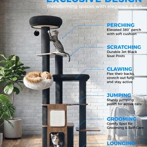 May include: A multi-level cat tree with a black sisal scratching post, multiple perches, and a cozy lounging area. The cat tree has a wooden frame and includes the text "EXCLUSIVE DESIGN". Two cats are using the cat tree.