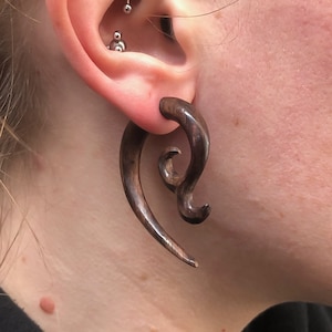 Puede incluir: Espirales de oreja de madera marrón oscuro. Las espirales tienen un acabado liso y pulido y un diseño curvo y arremolinado. La joya se lleva en un lóbulo de la oreja estirado.