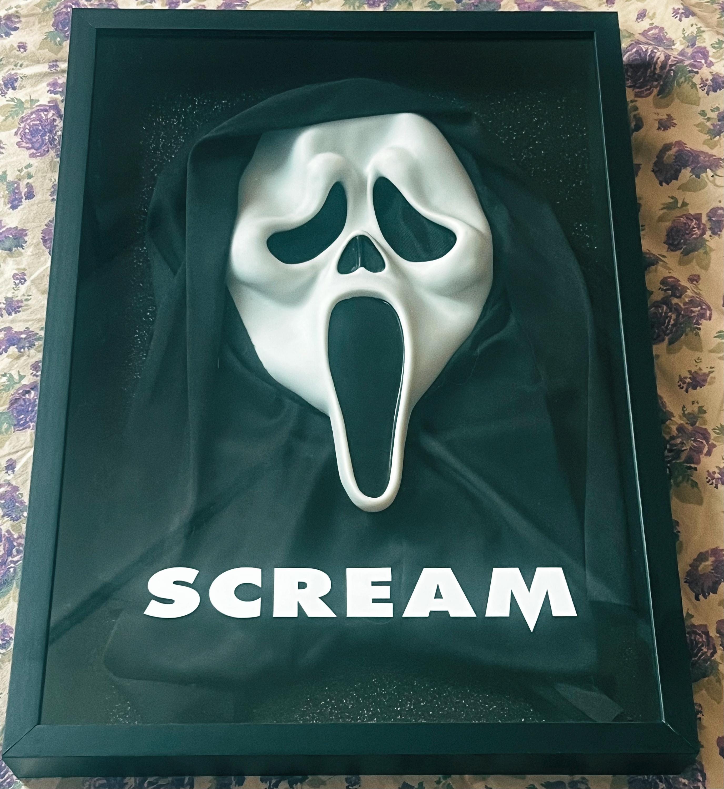 Scream Display Case Scream Ghostface Display - Etsy Canada