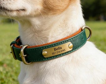 Conjunto de collar y correa de cuero para perro grabados a medida, collar de identificación personalizado para mascotas, ajustable, resistente y duradero. Regalo ideal.