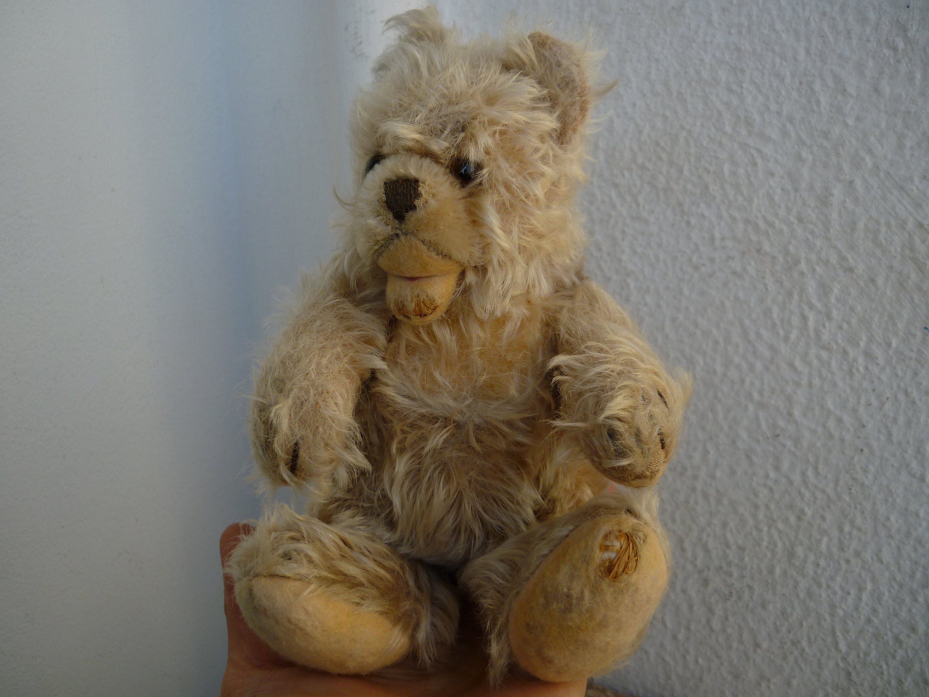 Steiff zotty bear - Etsy 日本 Steiff zotty bear - Etsy 日本