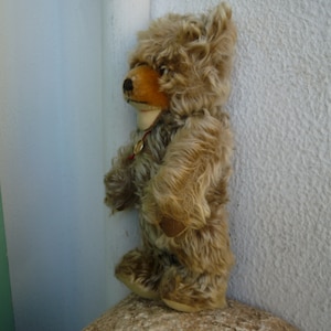 Steiff zotty bear - Etsy 日本