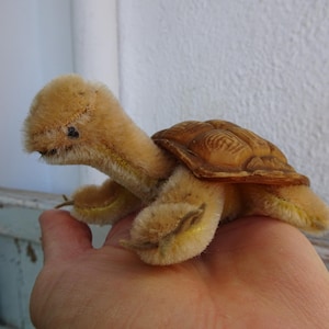 vintage, Steiff, tartaruga slo, tartaruga, mohair, olhos de vidro, casco de borracha, sem identificação