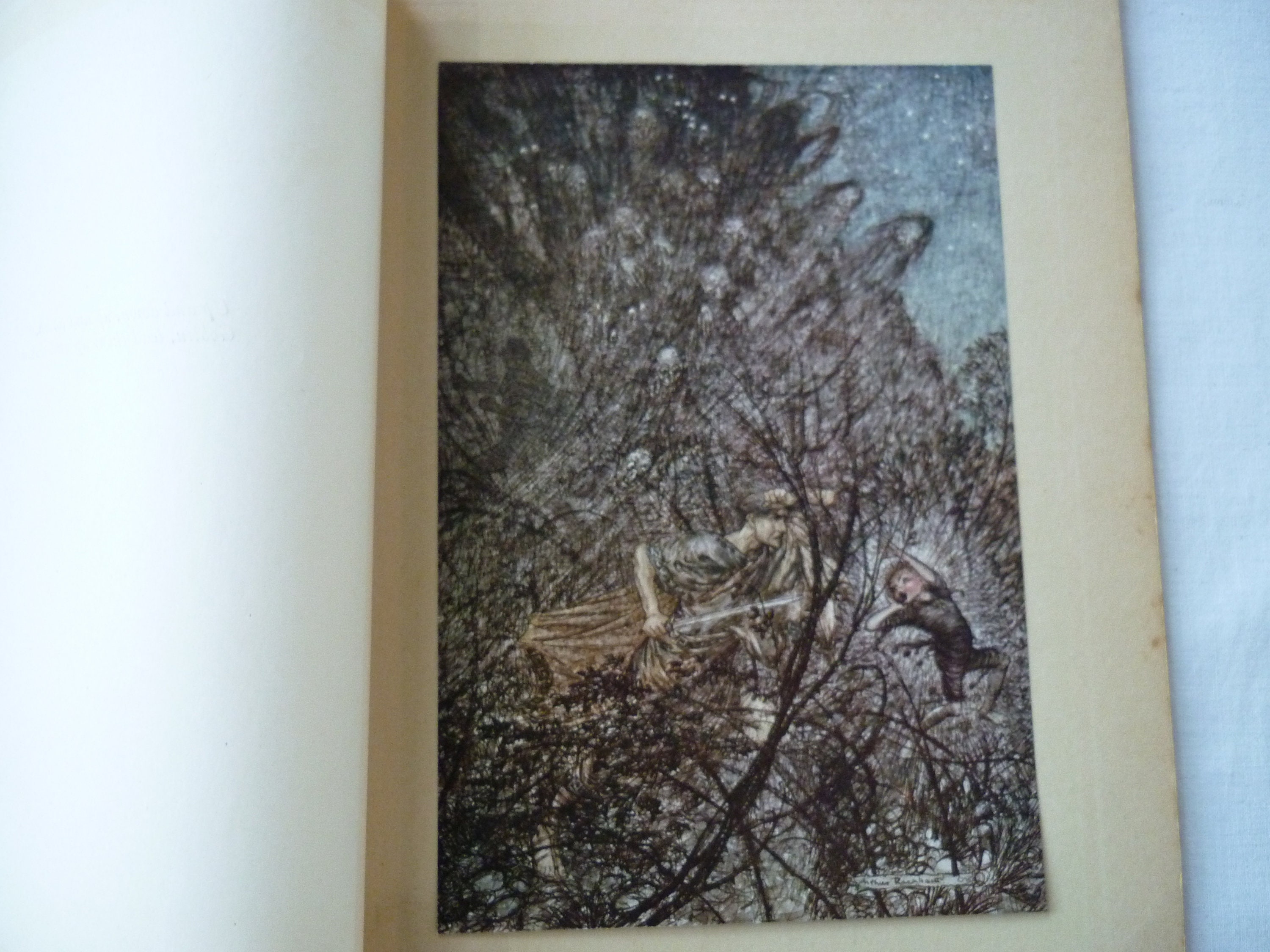 Original 1920 Arthur Rackham, Tipped in Book Plate, Print. up and Down ...