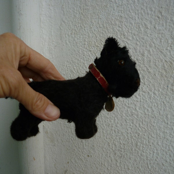 Rare,vintage,Steiff Scotty dog,smallest,4'' black Scottish terrier,silverscript button,red leather collar.
