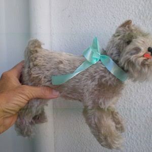18 cm Steiff Tessie, grau, Schnauzer Hund, Gelenkkopf, ohne Id.