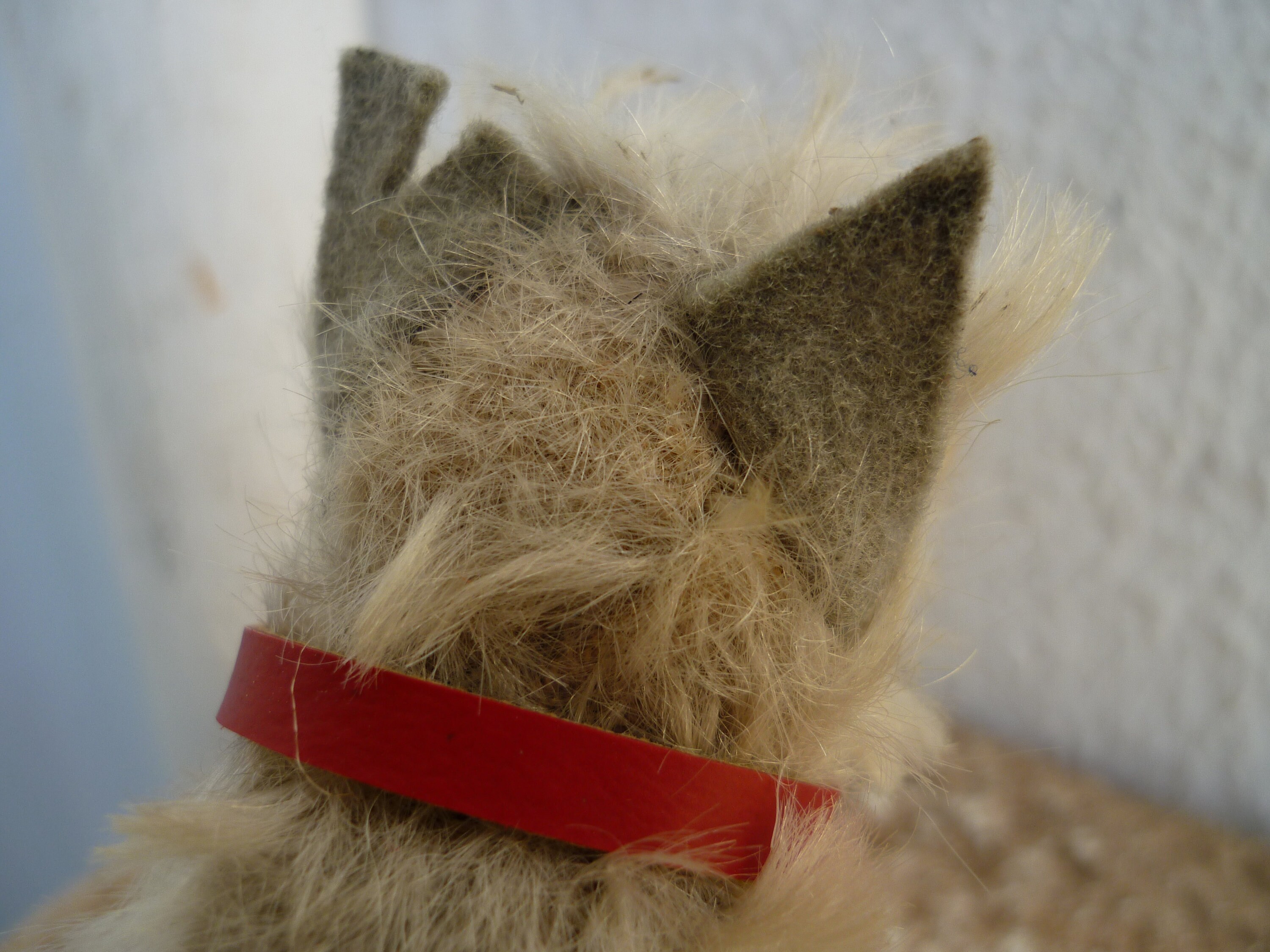 アンティーク シュタイフ シュナウザー Steiff Tessie 14cm