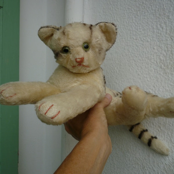 vintage 1950's rare,Steiff,largest,Fiffy cat,lying down kitten,glass eyes,mohair,swivel head,fixed limbs.No ids.amputated & re-sewn !