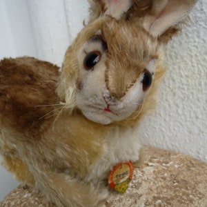 May include: A brown and white stuffed rabbit with long ears and a button nose. The rabbit is sitting on a brown surface and has a small tag on its chest that says "Steiff".