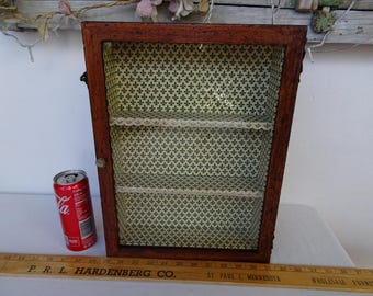 Vitrine/armário de curiosidades vintage, pequeno, de madeira, para exibição ou exposição de miniaturas, armário de parede para guardar miniaturas.