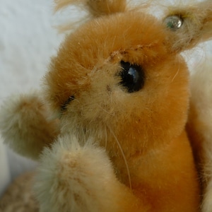 Steiff brummbar - Etsy 日本