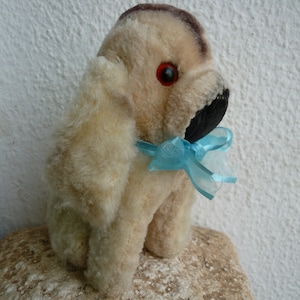 vintage, frans, met stro gevuld, pluche, hond, glazen ogen, plastic neus, vaste positie.