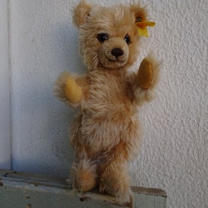 vintage,1980er Steiff,Plüschbär,Teddybär 011856,Knopf & getragenes Ohretikett.
