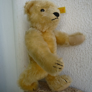 vintage Steiff, 1909 Replik, 000355, 24 cm kleiner Mohair Teddybär, 1909 Replica, Ohrknopf & Label.