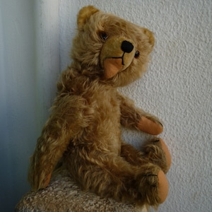vintage,15&#39;&#39; fully jointed,teddy bear,wood stuffed,mohair,glass eyes.