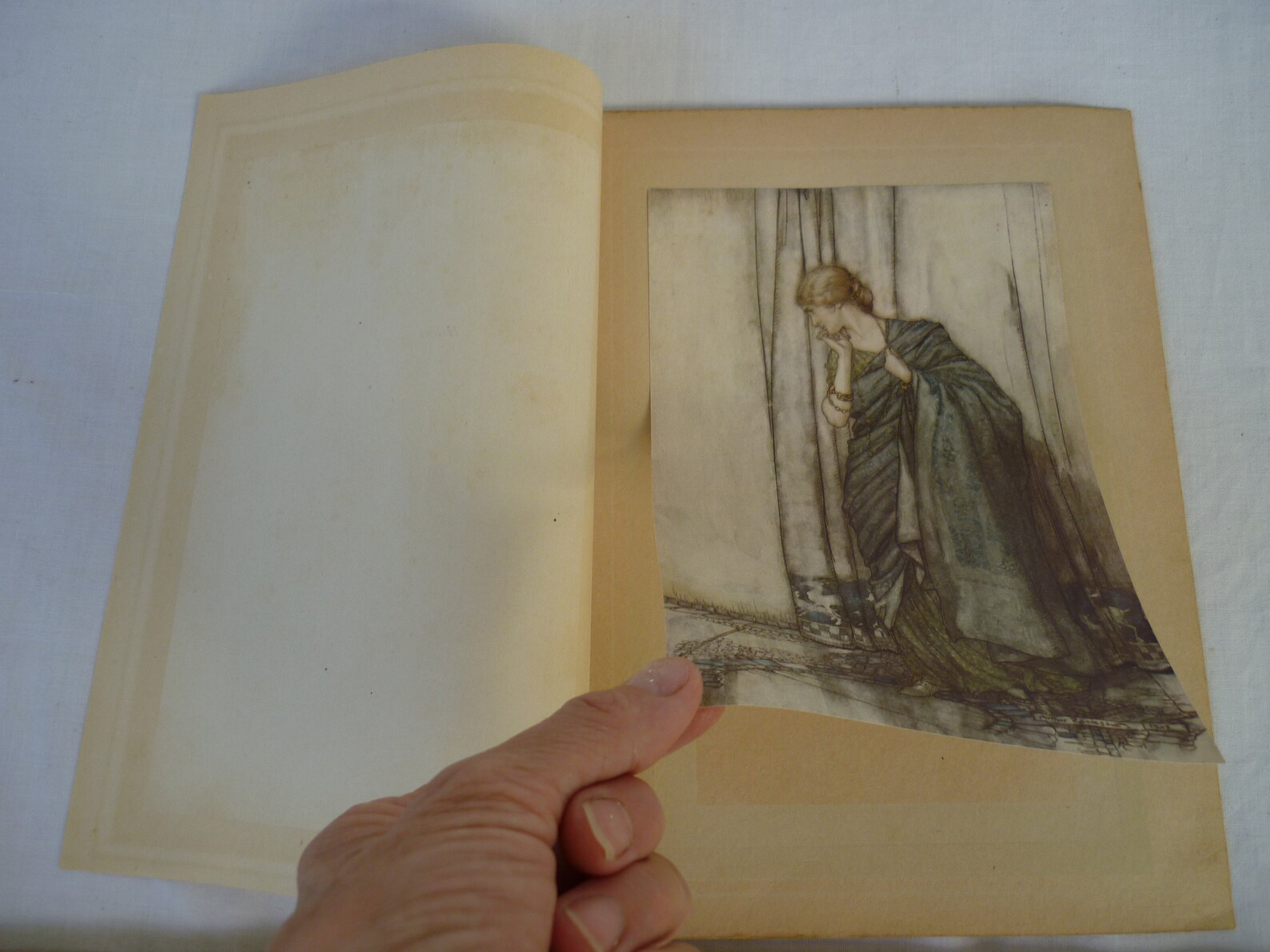 1920 Arthur Rackham Fairies,midsummer Night's Dream,tipped-in Book ...