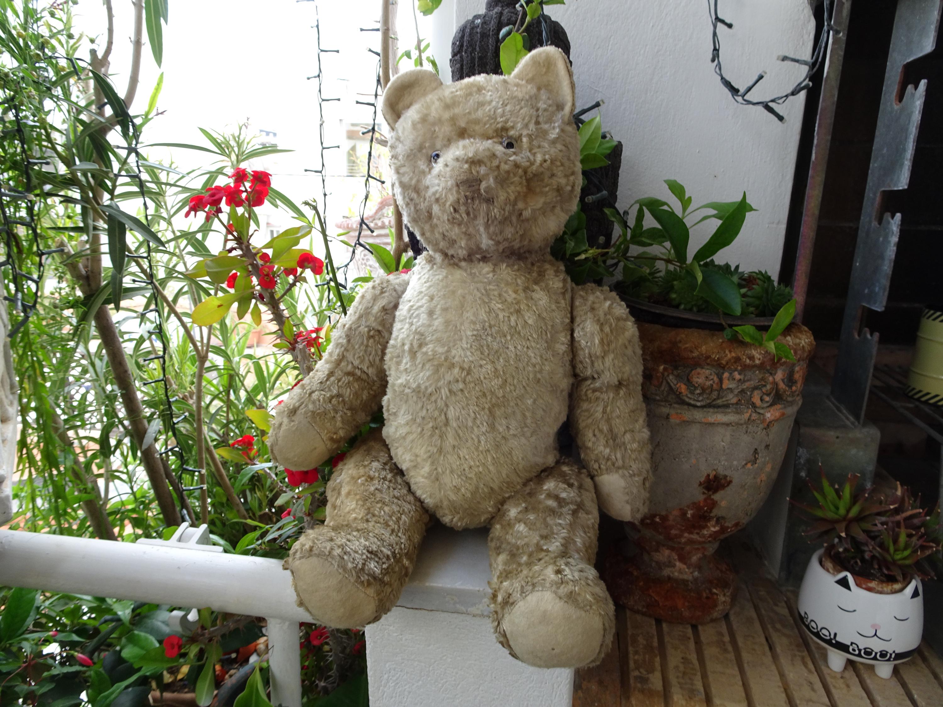 Antique german teddy bears - Etsy 日本